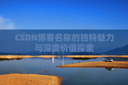 CSDN博客名称的独特魅力与深度价值探索